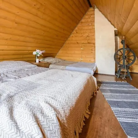 House And Sauna House With Garden In The City 別荘