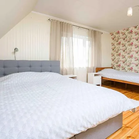 House And Sauna House With Garden In The City パルヌ