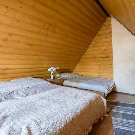 House And Sauna House With Garden In The City * パルヌ